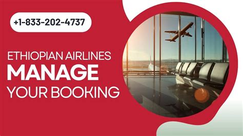 ethiopian masaya|Manage your Booking .